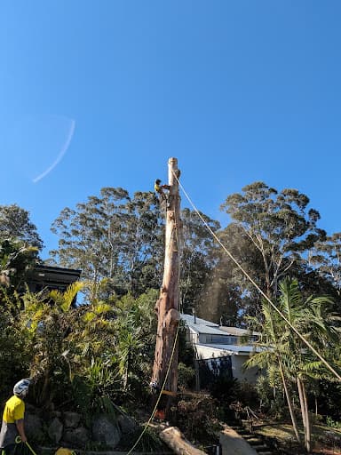 Coal Coast Tree Services Wollongong — Customer photo