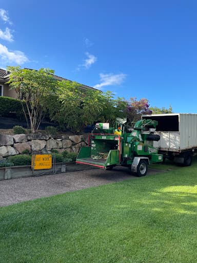 Gold Coast Arborists — Customer photo