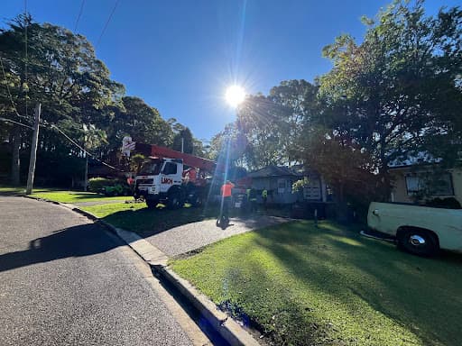 Clearview Tree Service — Customer photo