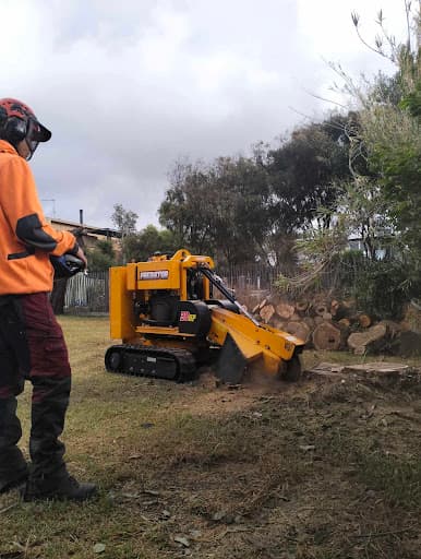 Stump Grinding Geelong — Customer photo