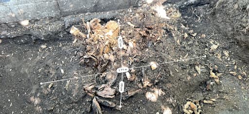 Southside Stump Grinding - Stump Removal Wollongong — Customer photo