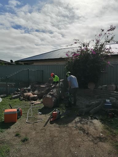 Australian Heritage Tree Works — Customer photo