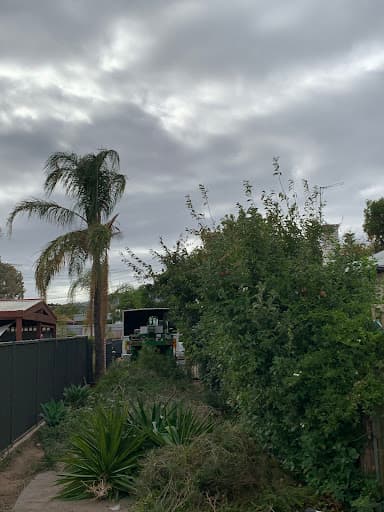 Embark Tree Services — Customer photo