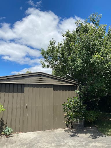 Jim's Trees & Stump Removal — Customer photo