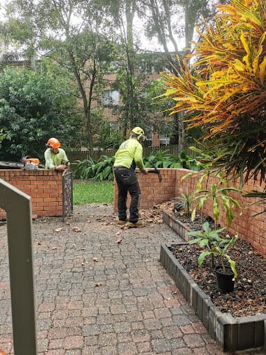 Eden Tree Service — Customer photo