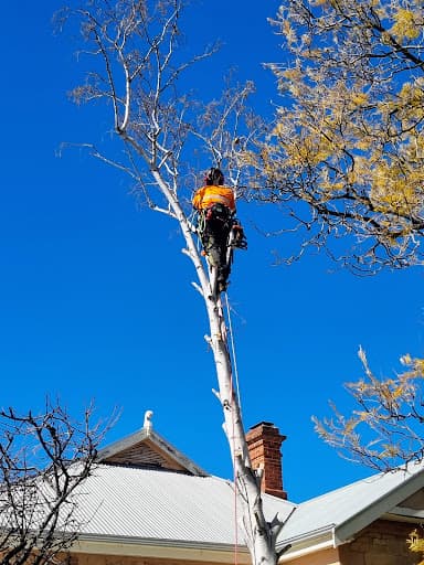 Austral Tree Services Pty Ltd (Depots in SA & VIC areas) — Customer photo