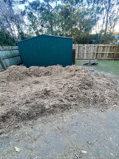 Shane's Trees — Customer photo