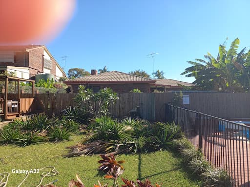 Cheaper Than All The Rest Tree Lopping — Customer photo