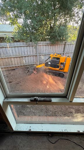 Get Stumped — Customer photo