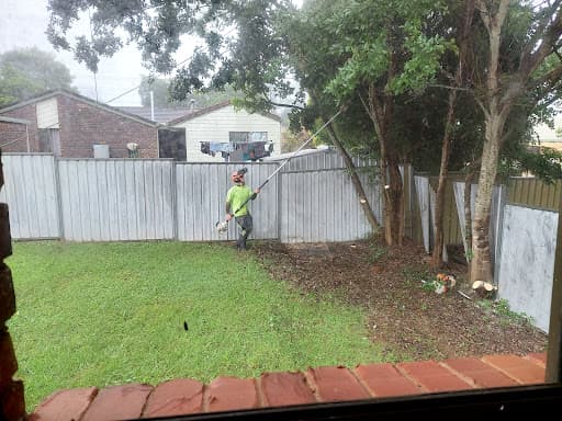 EJR Tree Services — Customer photo