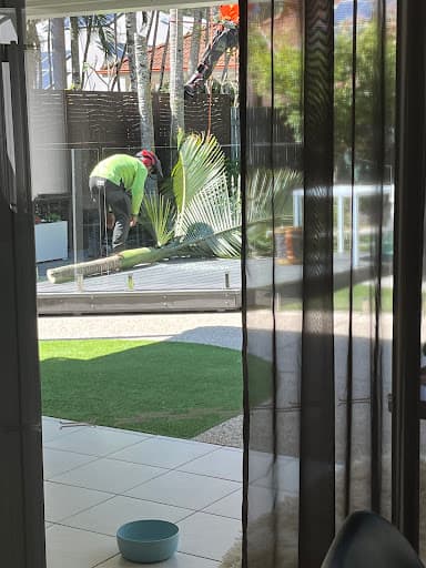 Mudjimba Tree Services — Customer photo