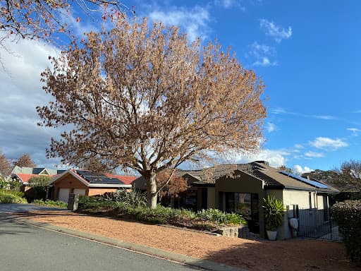 O'Briens Tree Services Canberra — Customer photo