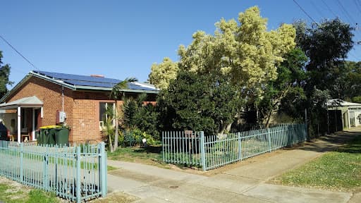 CTL Tree Service & Stump Removal Adelaide — Customer photo