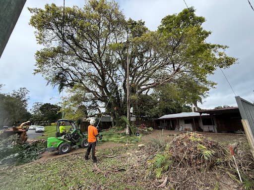 Hinterland Tree and Stump Removal Sunshine Coast — Customer photo