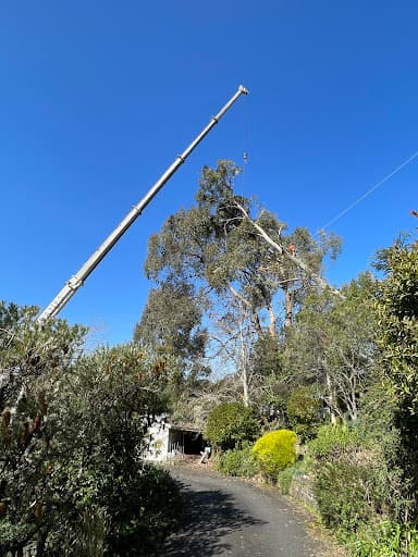 Austral Tree Services Pty Ltd (Depots in SA & VIC areas) — Customer photo