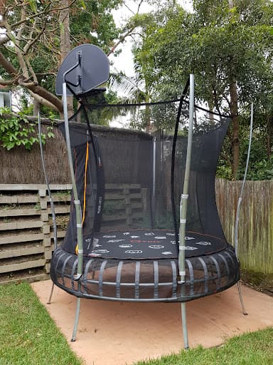 Shane's Trees - Wollongong — Customer photo