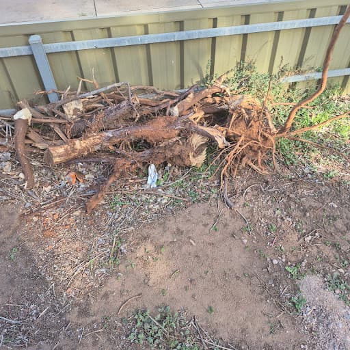Direct Tree Services — Customer photo