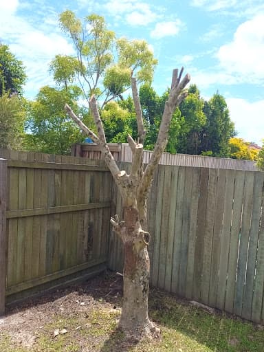 Stumpworks Qld — Customer photo
