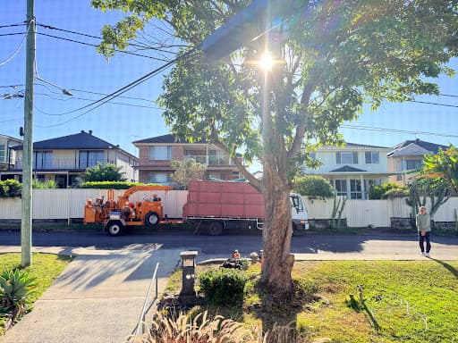 At Your Tree Service — Customer photo