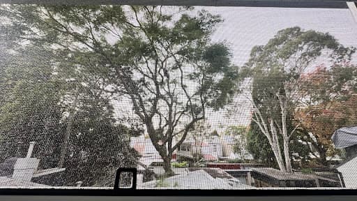 JW Tree Services — Customer photo
