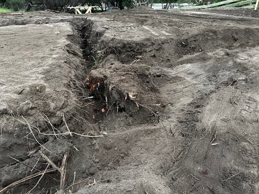 Get Stumped — Customer photo