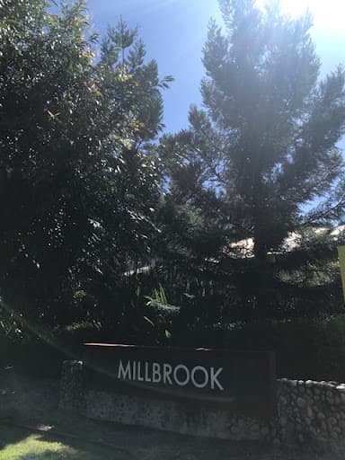 Hinterland Tree and Stump Removal Sunshine Coast — Customer photo