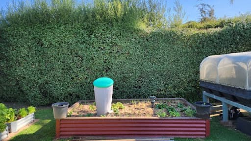 Max Tree Services — Customer photo