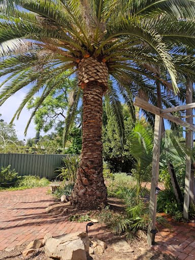 SA Tree Recyclers — Customer photo