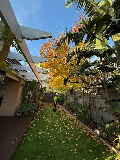 Redback Tree Services — Customer photo