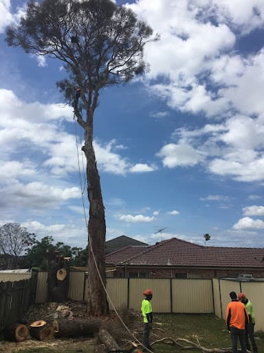 Complete Tree Experts Pty Ltd — Customer photo