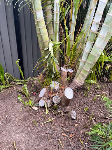 Stumpworks Qld — Customer photo