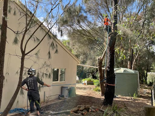Climb Right — Customer photo