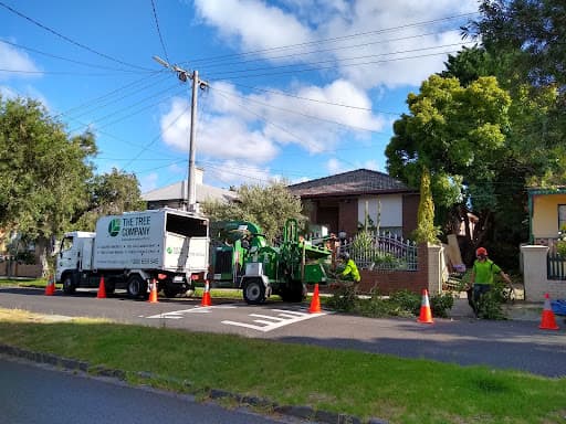 The Tree Company — Customer photo