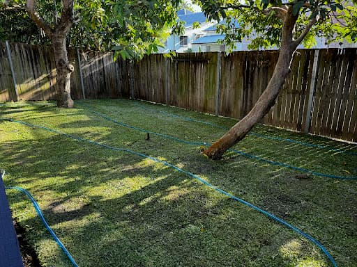 Evergreen Tree Care — Customer photo