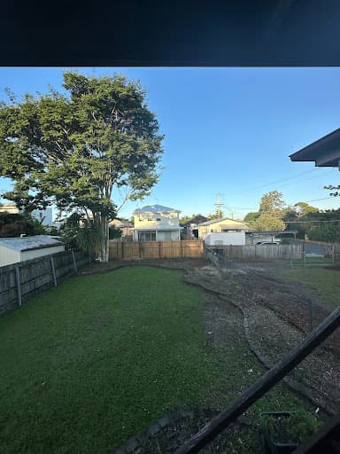 Budget Tree Removal — Customer photo