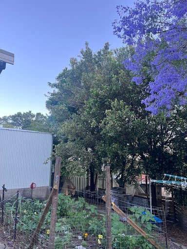 Agility Professional Tree Service — Customer photo