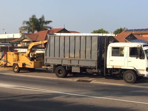 Adelaide Tree Removals - Stump & Tree Removal Services — Customer photo