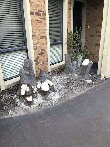 Melbourne Stump Grinding Services — Customer photo