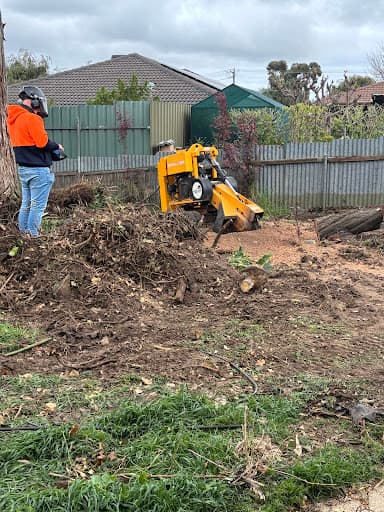 Affordable Stump & Grind — Customer photo