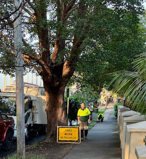 Arbor Co Tree Services — Customer photo