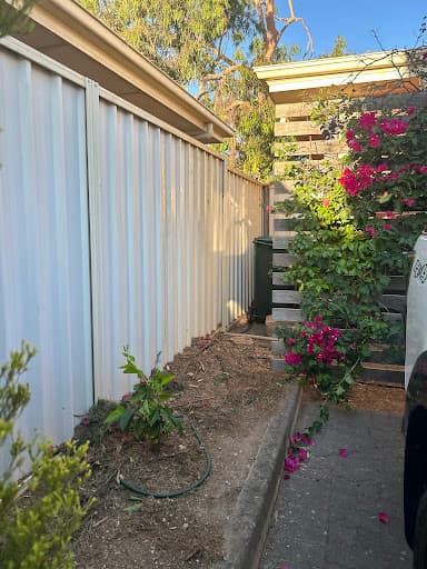 Australian Heritage Tree Works — Customer photo