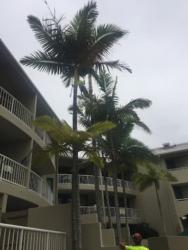 Frontier Tree Services — Customer photo