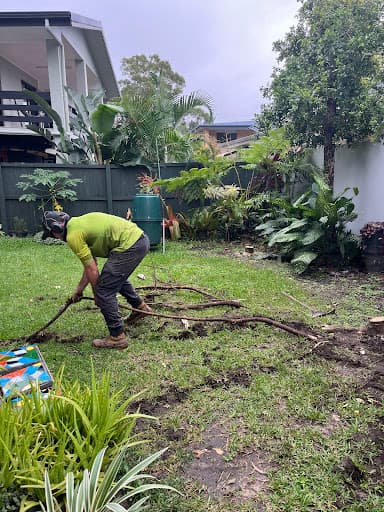 ASAP Stump Grinding — Customer photo