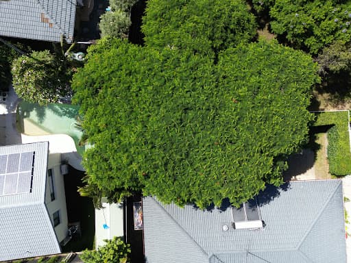 Arborcare — Customer photo