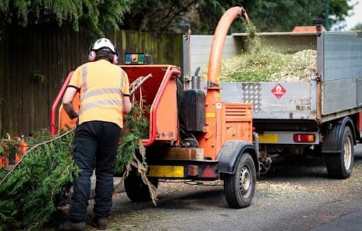 The Arborist Experts — Customer photo