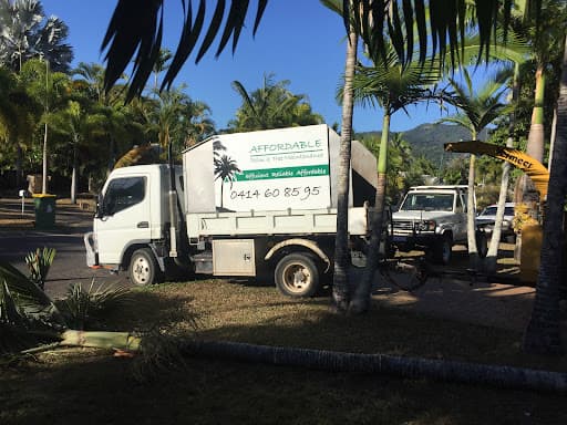 Affordable Palm & Tree Maintenance — Customer photo