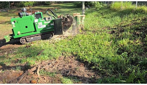 Stumpworks Qld — Customer photo