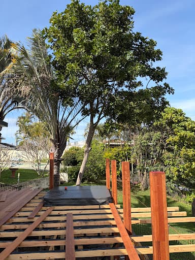 Tom’s Tree Maintenance — Customer photo