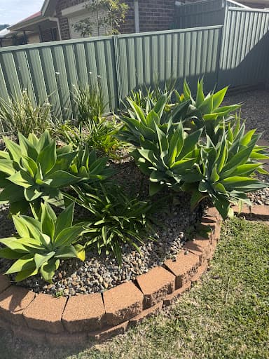 Southside Stump Grinding - Stump Removal Wollongong — Customer photo