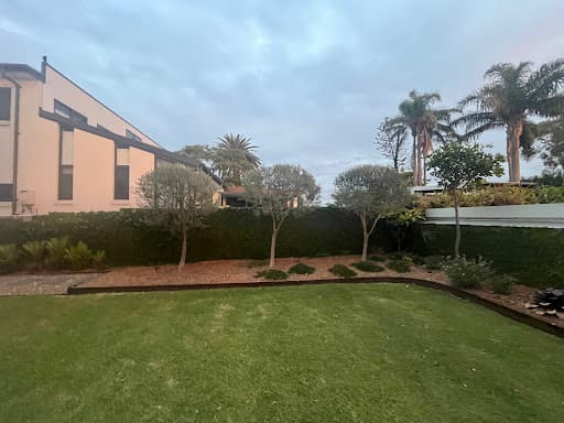 Shane's Trees — Customer photo